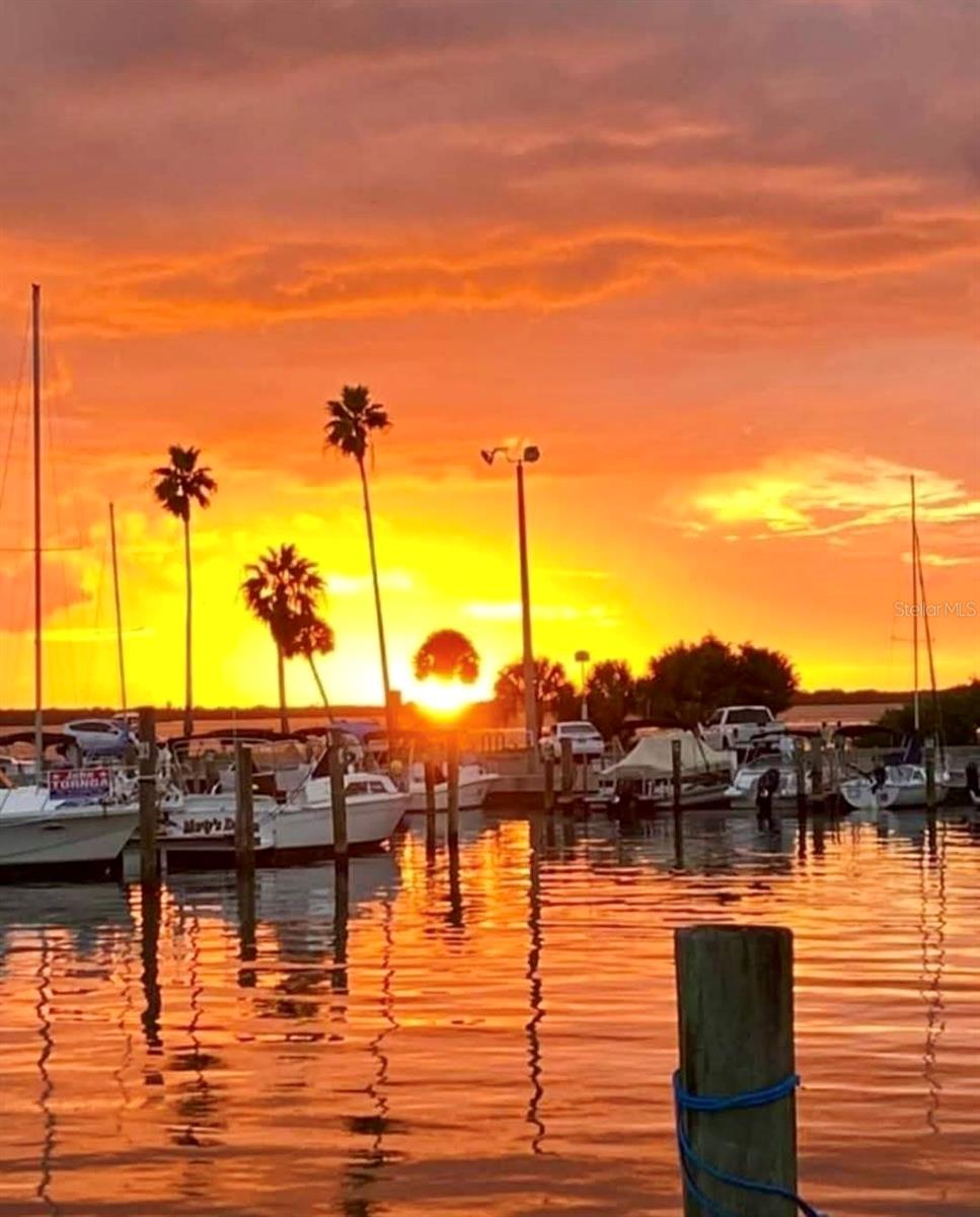 VIRGINIA PARK - Residential