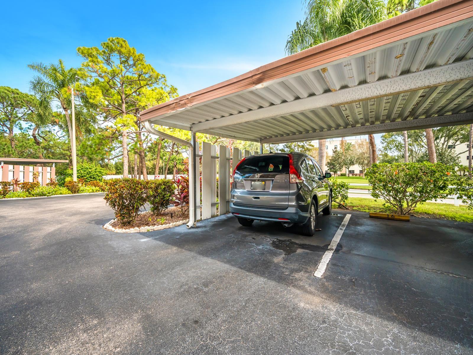 TERRACE PARK OF FIVE TOWNS - Residential