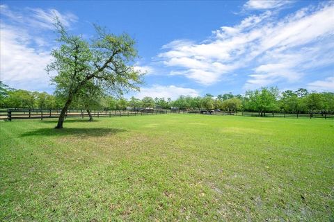 Tiny photo for 5400 W Yearling Drive, Beverly Hills, FL 34465 (MLS # OM722564)