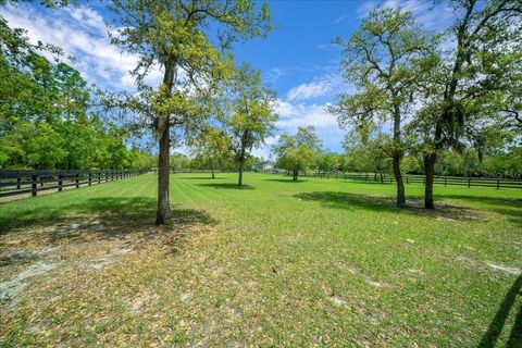Tiny photo for 5400 W Yearling Drive, Beverly Hills, FL 34465 (MLS # OM722564)