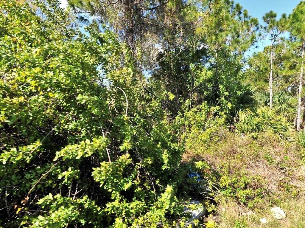 Photo of Veterans Blvd., North Port, FL 34288 (MLS # A4678815)