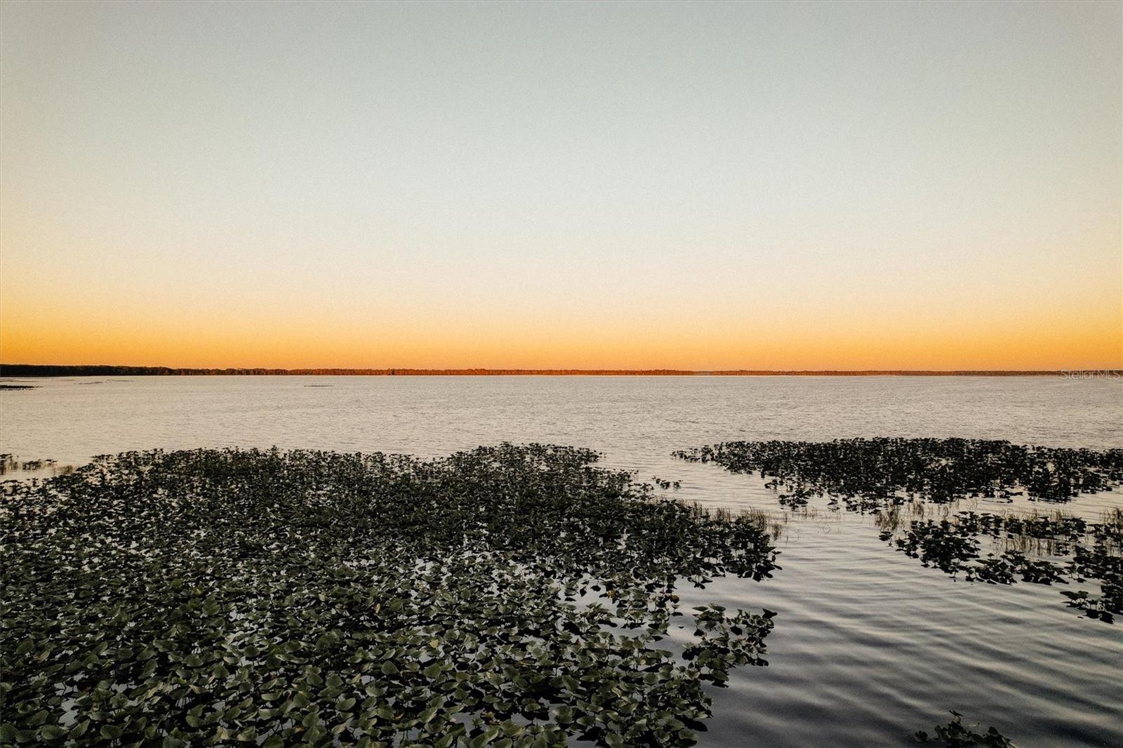 LAKE LOCHLOOSA SHORES - Land