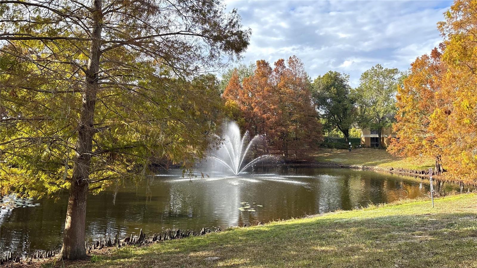 8849 LATREC AVENUE 4103