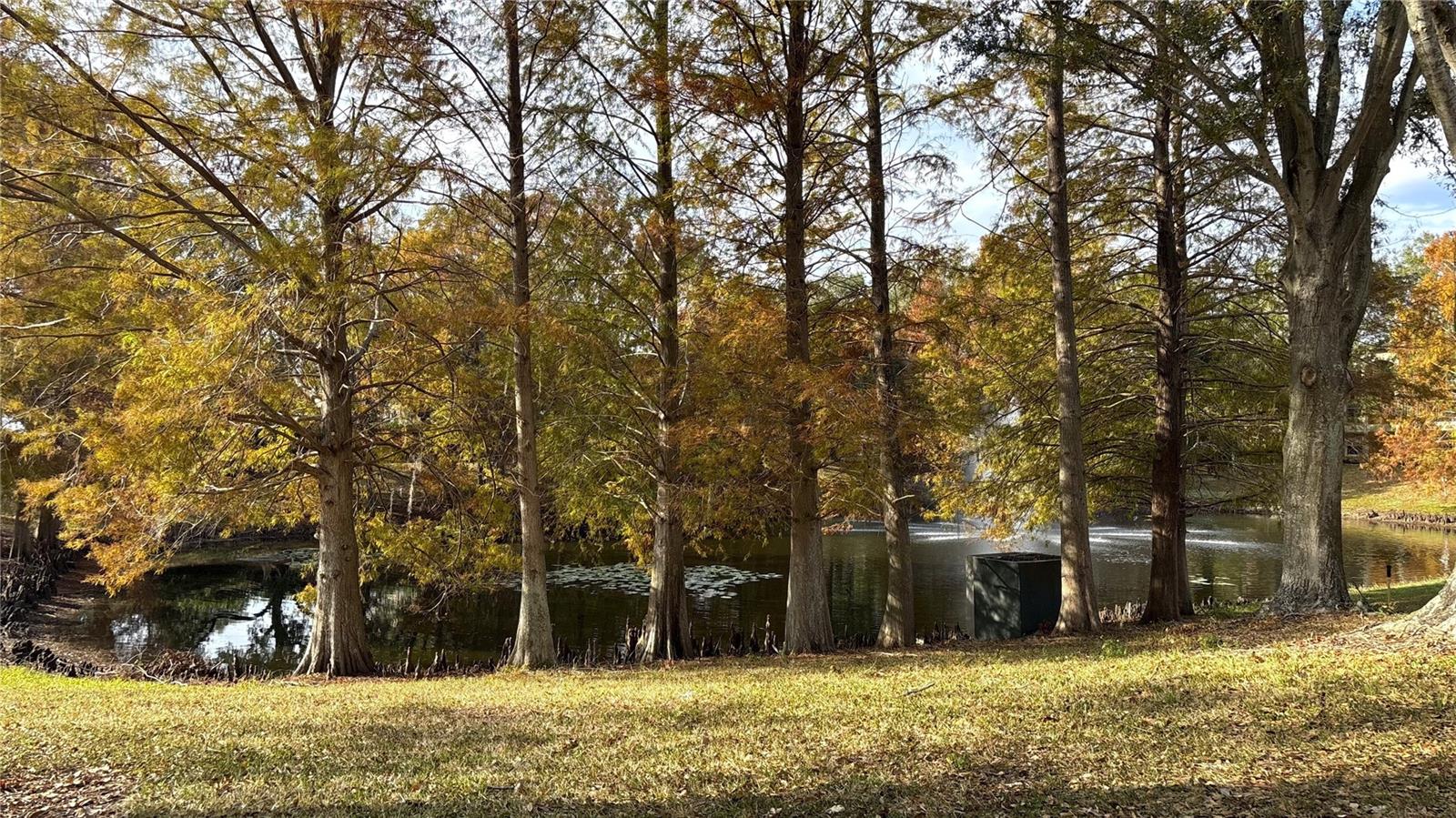 8849 LATREC AVENUE 4103