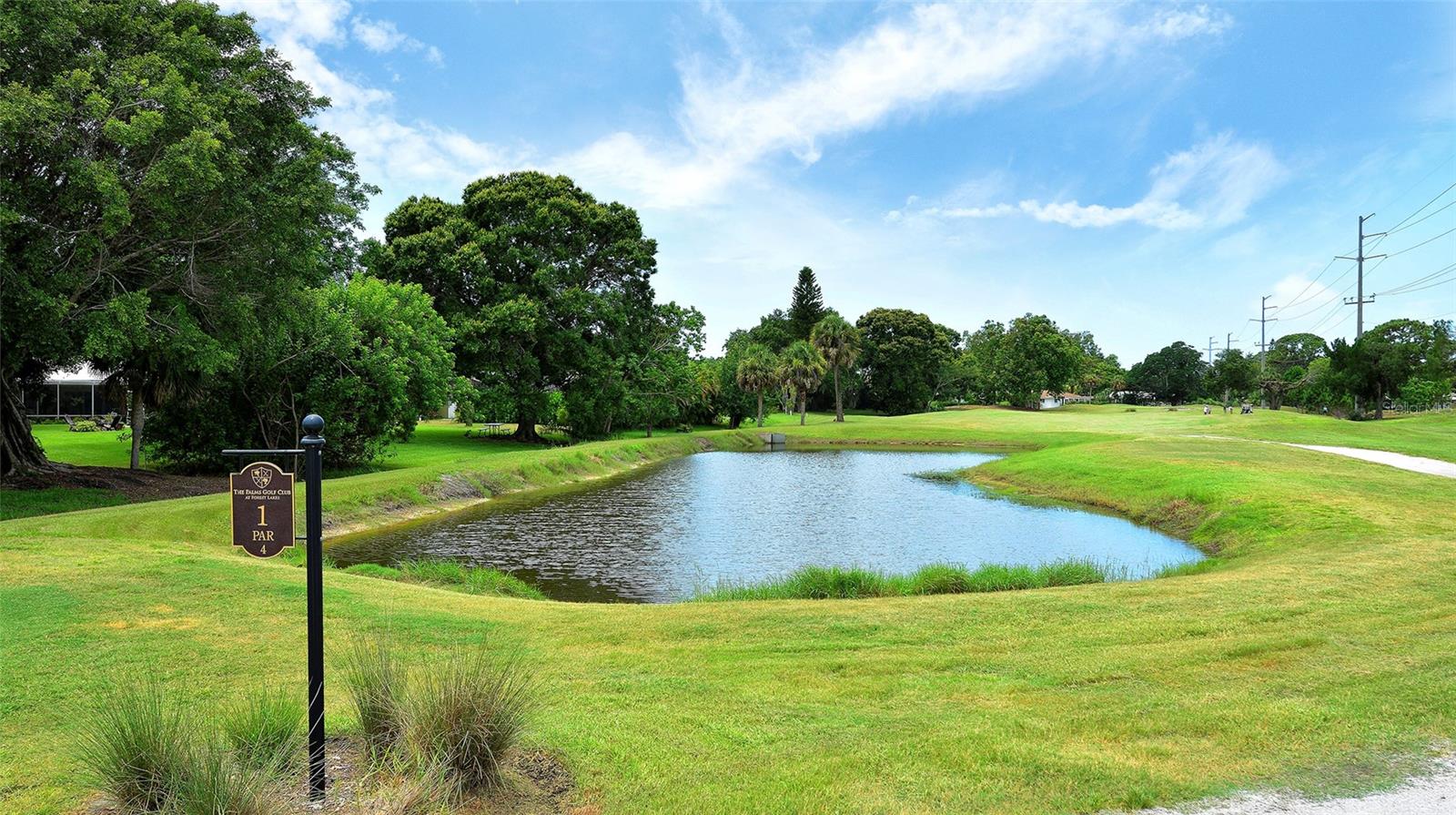 FRST LAKES COUNTRY CLUB ESTATES - Residential