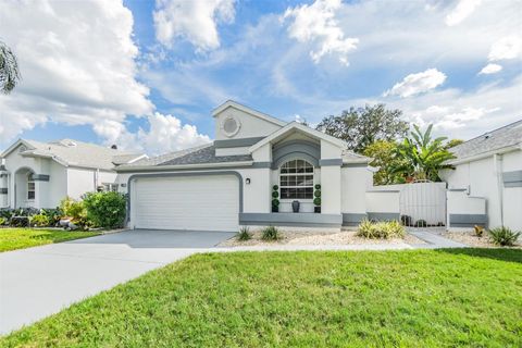 A home in SPRING HILL