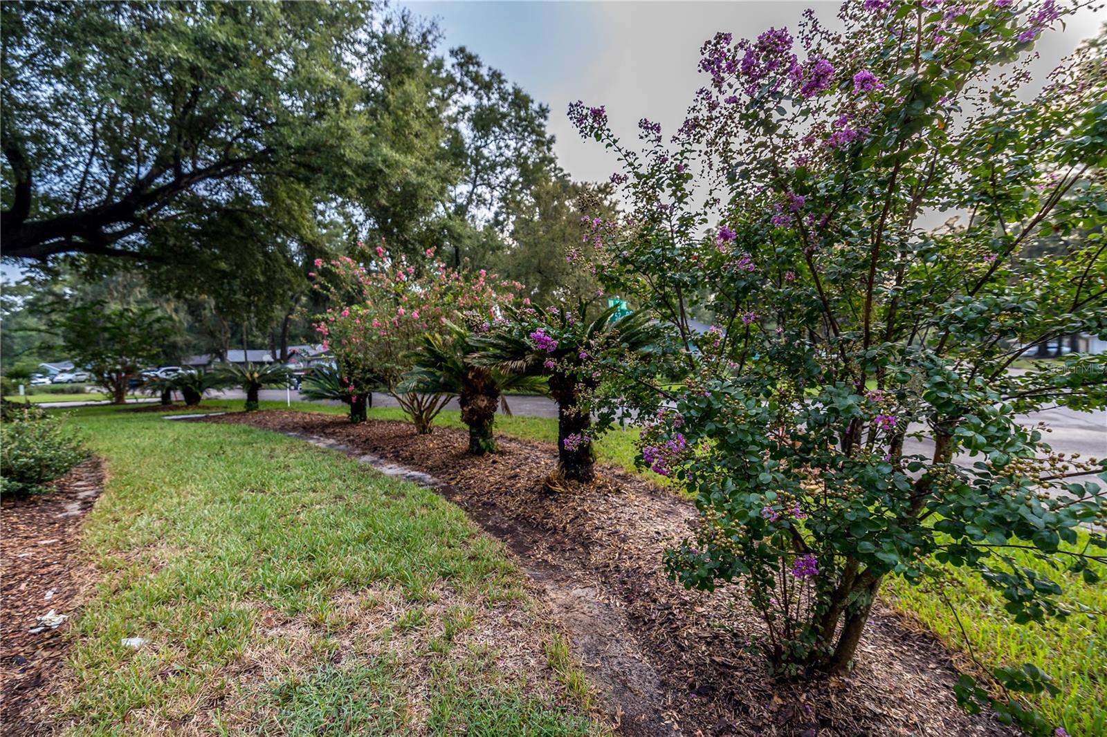 BUCK RIDGE WEST - Residential