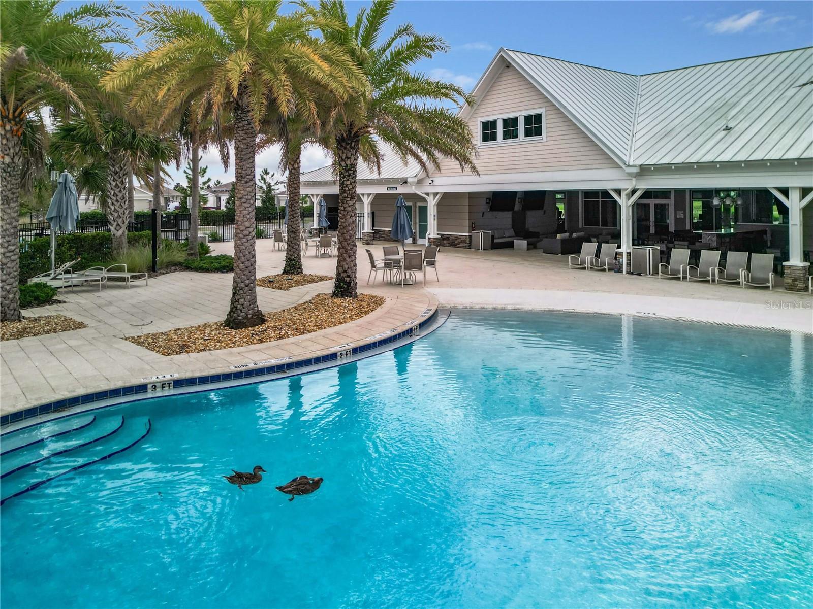 BEAUMONT PH 1 - Residential Lease