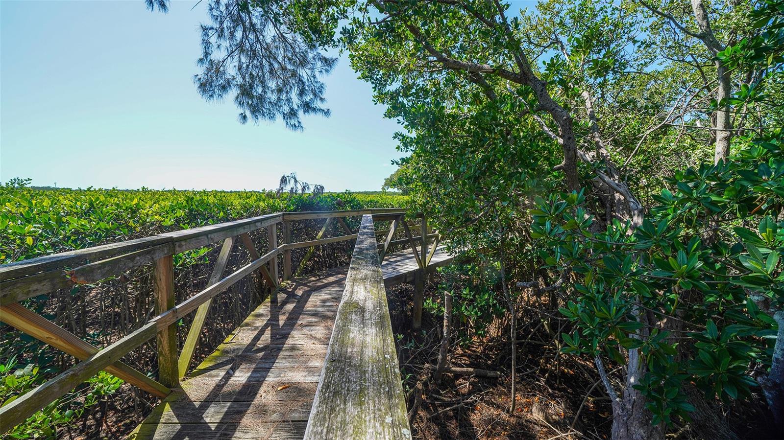 PERICO BAY CLUB - Residential