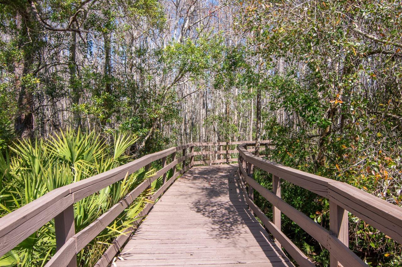 SABAL AT WYNDTREE - Residential