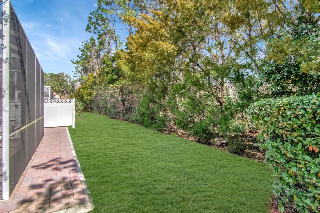 SABAL AT WYNDTREE - Residential