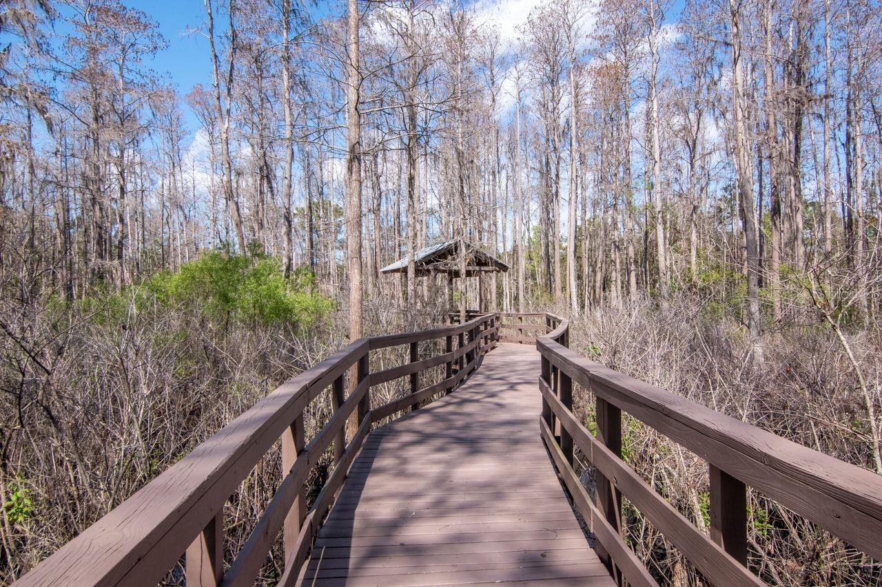 SABAL AT WYNDTREE - Residential