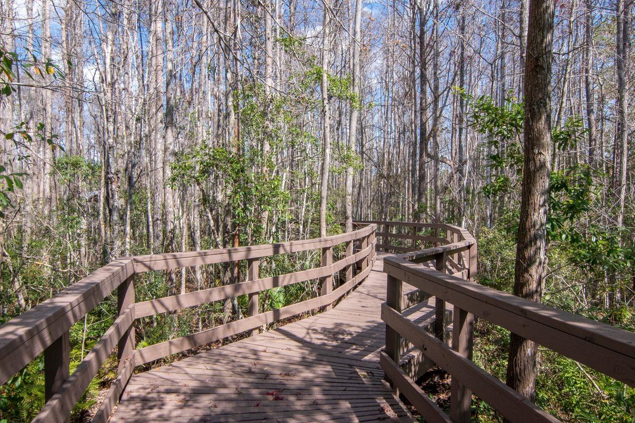 SABAL AT WYNDTREE - Residential