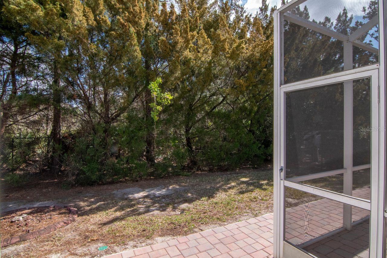 SABAL AT WYNDTREE - Residential