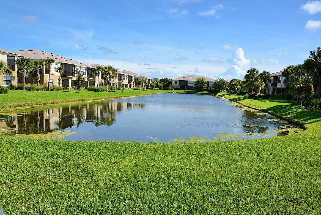 PALMA SOLA TRACE - Residential