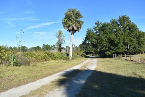 Tiny photo for 13800 County Road 450, Umatilla, FL 32784 (MLS # L4960577)