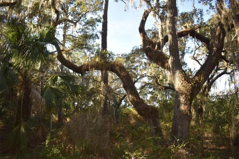Tiny photo for 13800 County Road 450, Umatilla, FL 32784 (MLS # L4960577)