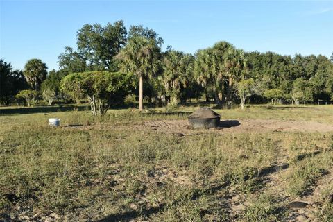Tiny photo for 13800 County Road 450, Umatilla, FL 32784 (MLS # L4960577)
