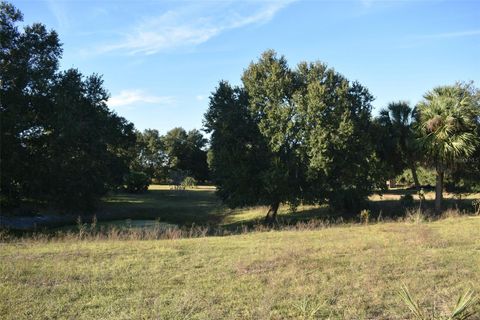Tiny photo for 13800 County Road 450, Umatilla, FL 32784 (MLS # L4960577)