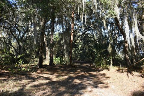 Tiny photo for 13800 County Road 450, Umatilla, FL 32784 (MLS # L4960577)