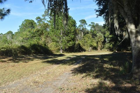 Tiny photo for 13800 County Road 450, Umatilla, FL 32784 (MLS # L4960577)