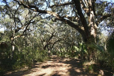 Tiny photo for 13800 County Road 450, Umatilla, FL 32784 (MLS # L4960577)