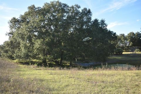 Tiny photo for 13800 County Road 450, Umatilla, FL 32784 (MLS # L4960577)