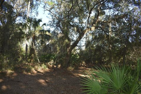 Tiny photo for 13800 County Road 450, Umatilla, FL 32784 (MLS # L4960577)