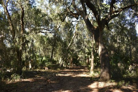 Tiny photo for 13800 County Road 450, Umatilla, FL 32784 (MLS # L4960577)