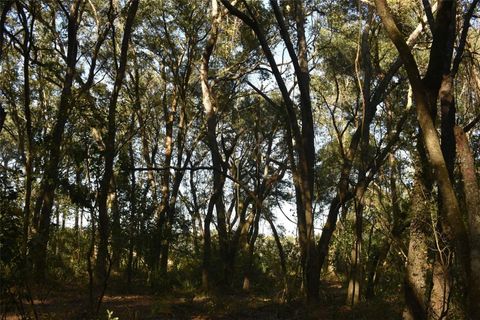 Tiny photo for 13800 County Road 450, Umatilla, FL 32784 (MLS # L4960577)