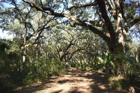 Tiny photo for 13800 County Road 450, Umatilla, FL 32784 (MLS # L4960577)
