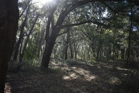 Tiny photo for 13800 County Road 450, Umatilla, FL 32784 (MLS # L4960577)