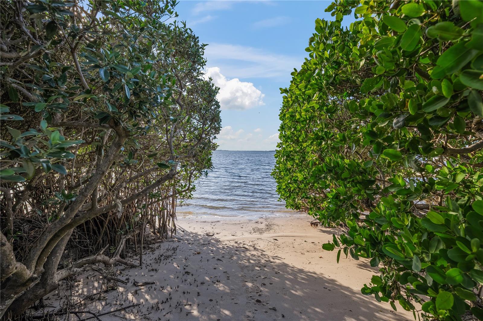 H W WOODS SUB - Residential