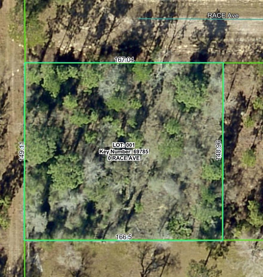 Build your dream home on this beautiful .60-acre lot located in the desirable Royal Highlands area! Nestled on a quiet dead-end street and adjacent to Swiftmud property, this parcel offers added privacy and a natural setting. Enjoy the peaceful surroundings while still being close to everything—just a short drive to Weeki Wachee, Homosassa, shopping, dining, and Gulf. Whether you’re looking to build now or invest for the future, this property offers endless potential in a growing community.