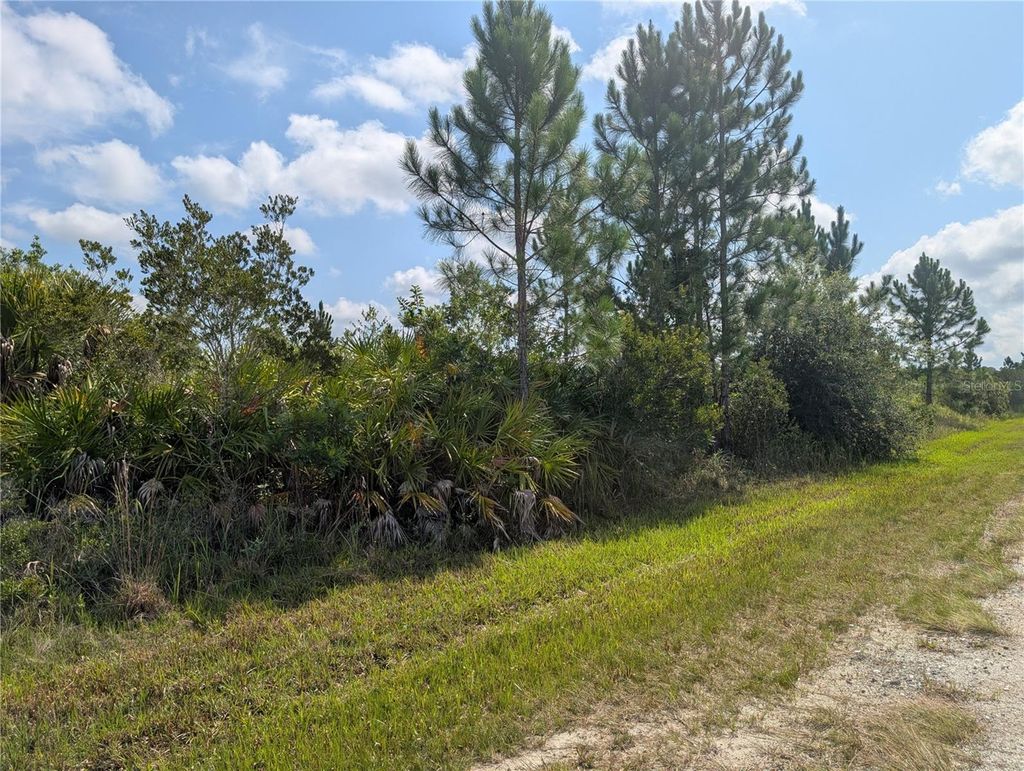 Photo of Indian Lake Estates, FL 33855 (MLS # P4939338)