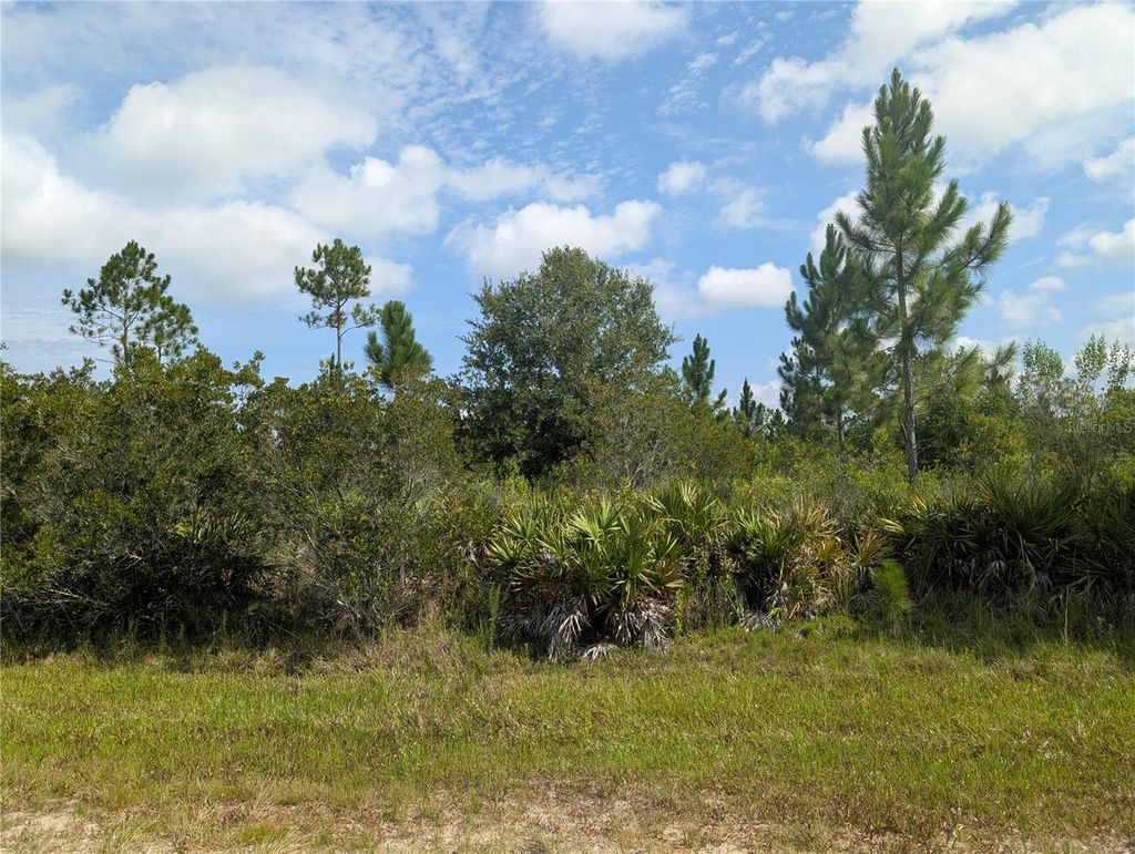 Photo of Indian Lake Estates, FL 33855 (MLS # P4939338)