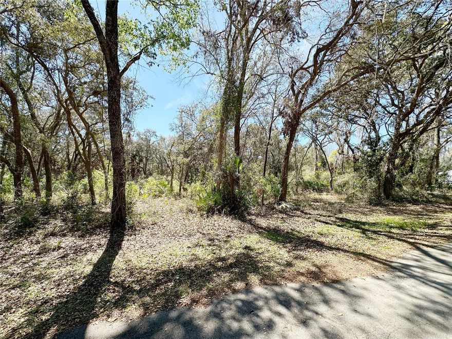 Build your dream home on this beautiful 0.50-acre wooded lot located in the desirable Chiefland Golf & Country Club community. Surrounded by mature trees, this property offers natural privacy while still being part of a well-established neighborhood.

Located outside of a flood zone, this lot provides added peace of mind and greater flexibility for future construction. Enjoy the perfect balance of quiet surroundings and convenience, with easy access to local shopping, dining, and outdoor recreation.

Whether you're ready to build now or planning for the future, this property is an excellent opportunity to create your ideal Florida lifestyle.
