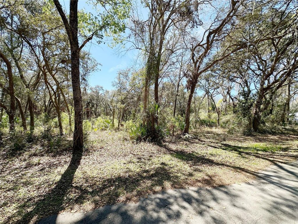 Photo of Tbd NW 110th Circle, Lot 3, Chiefland, FL 32626 (MLS # GC538612)