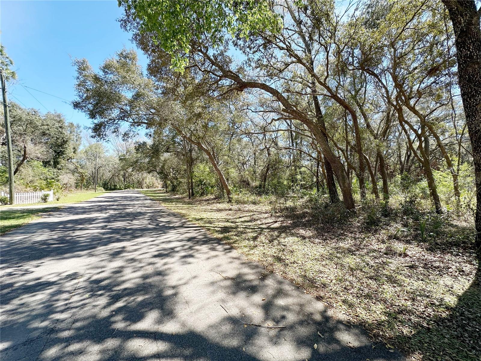 CHIEFLAND COUNTRY ESTATES - Land