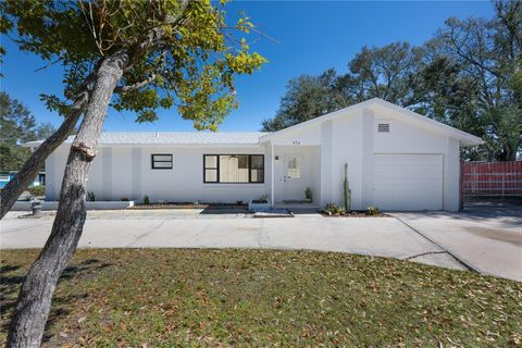 470 VIOLET DELL CASSELBERRY FL 32707