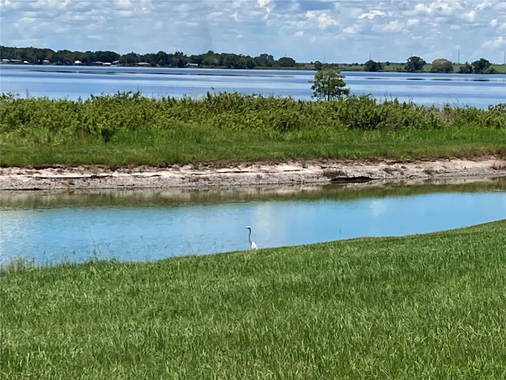 Photo of 493 Adams View Lane, Auburndale, FL 33823 (MLS # P4936539)