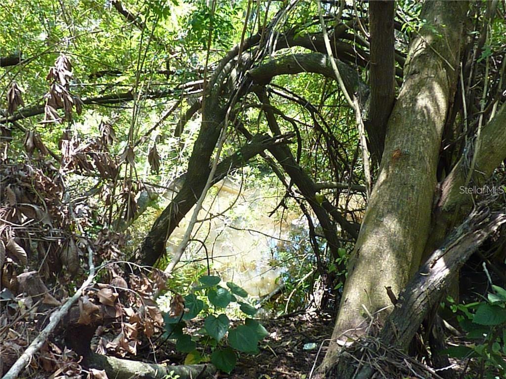 WARM MINERAL SPGS - Land