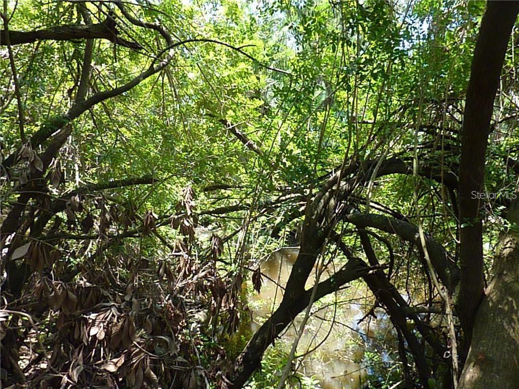 WARM MINERAL SPGS - Land