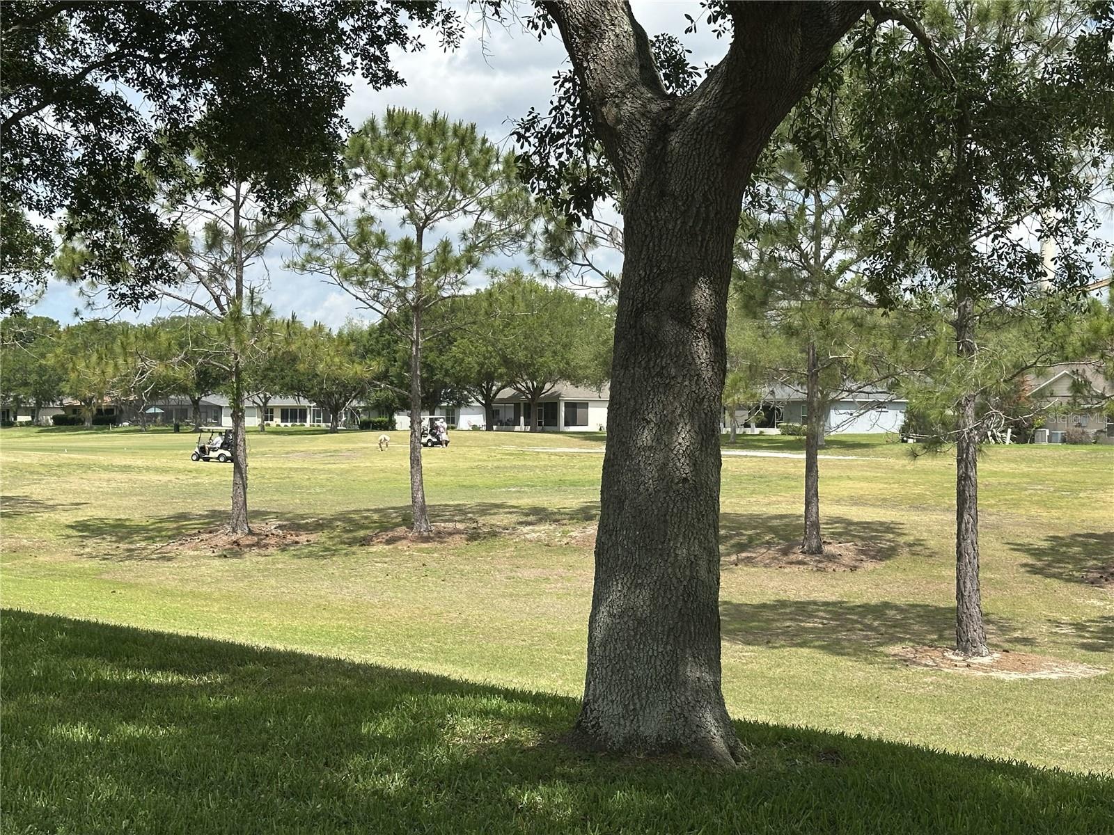 LEESBURG ARLINGTON RIDGE PH 1-B - Residential