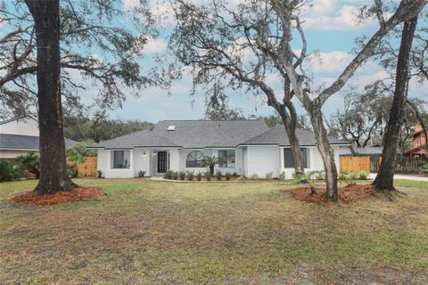 A home in APOPKA