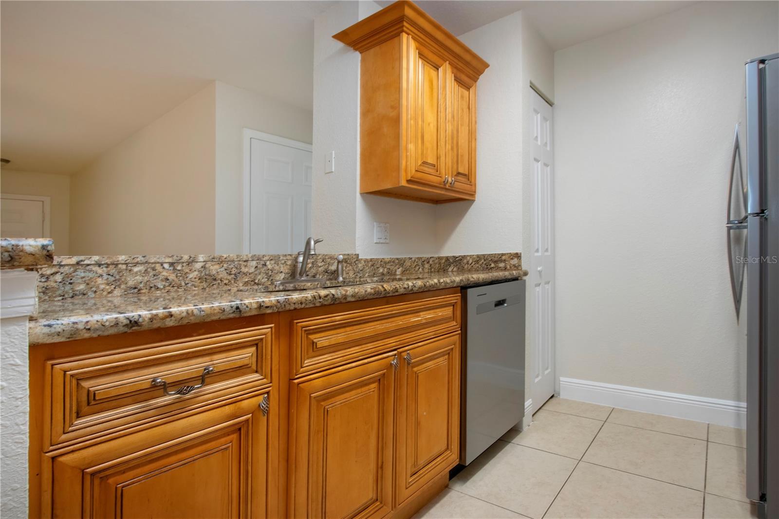 THE VILLAGE AT TOWNPARK - Residential