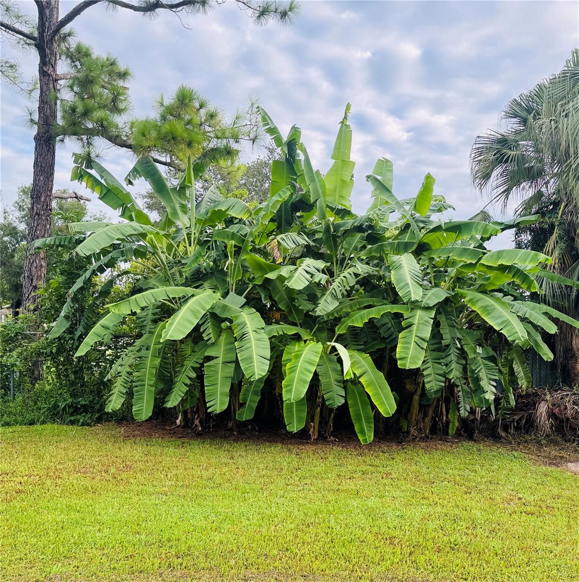 MAR-LEE ACRES - Residential