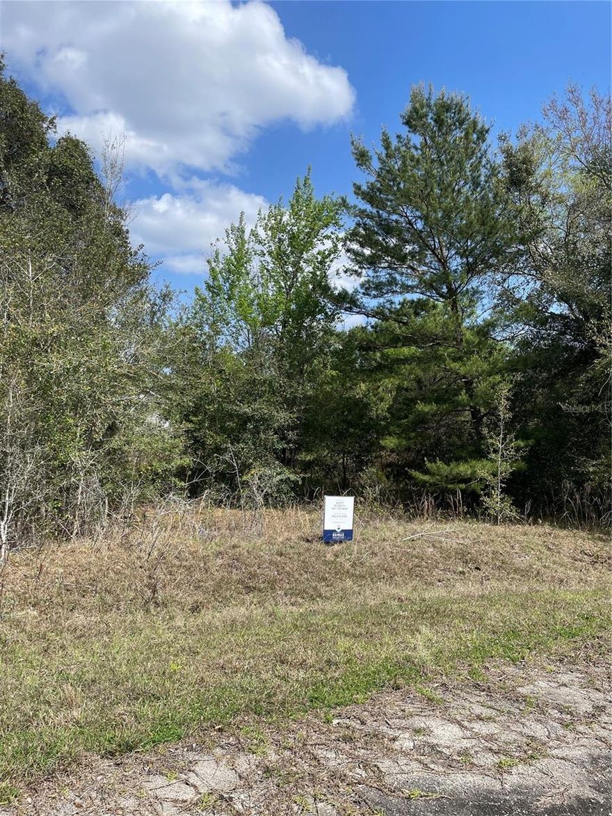 1/3 ACRE LOT. BUILD YOUR DREAM HOME RIGHT HERE OR BUY AND HOLD AS AN INVESTMENT. CLOSE TO LAKE WEIR, THE VILLAGES, VA, MEDICAL, RESTAURANTS, AND MUCH MORE!