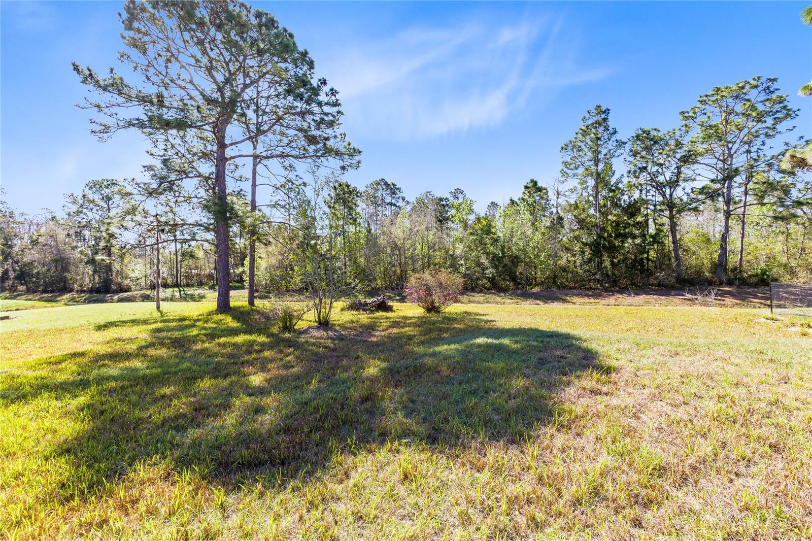 CAPE ORLANDO ESTATES - Residential