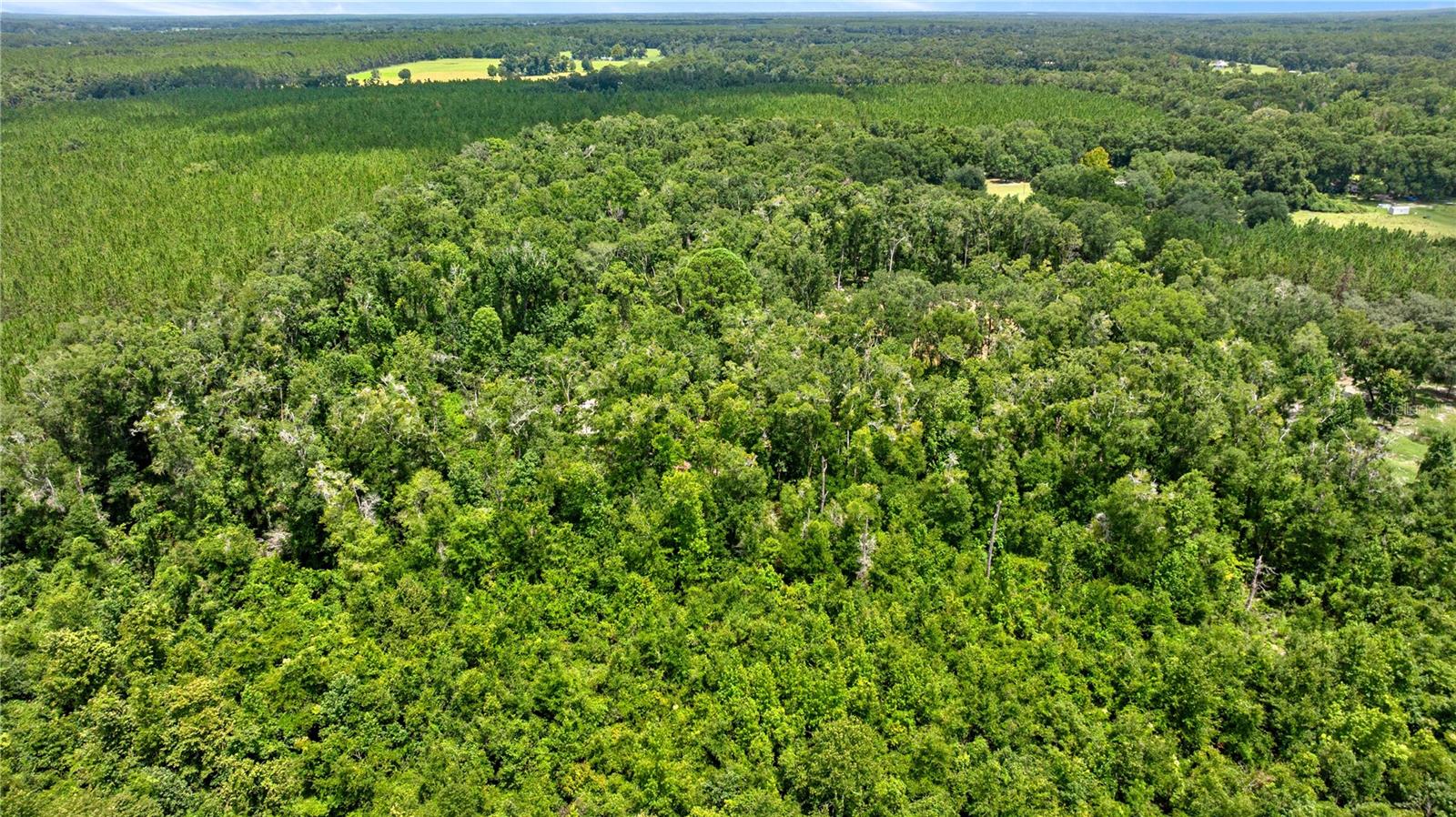 ICHETUCKNEE WILDERNESS - Residential